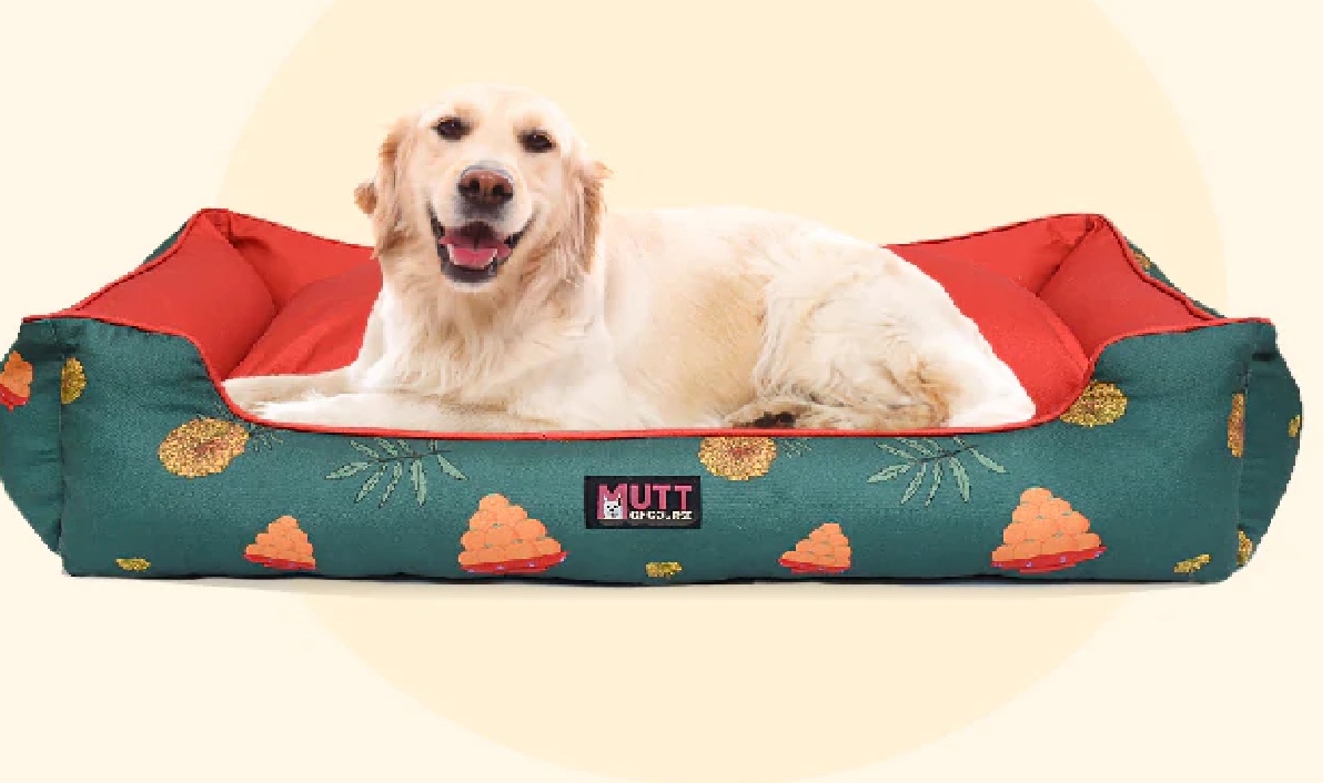 Pet 8